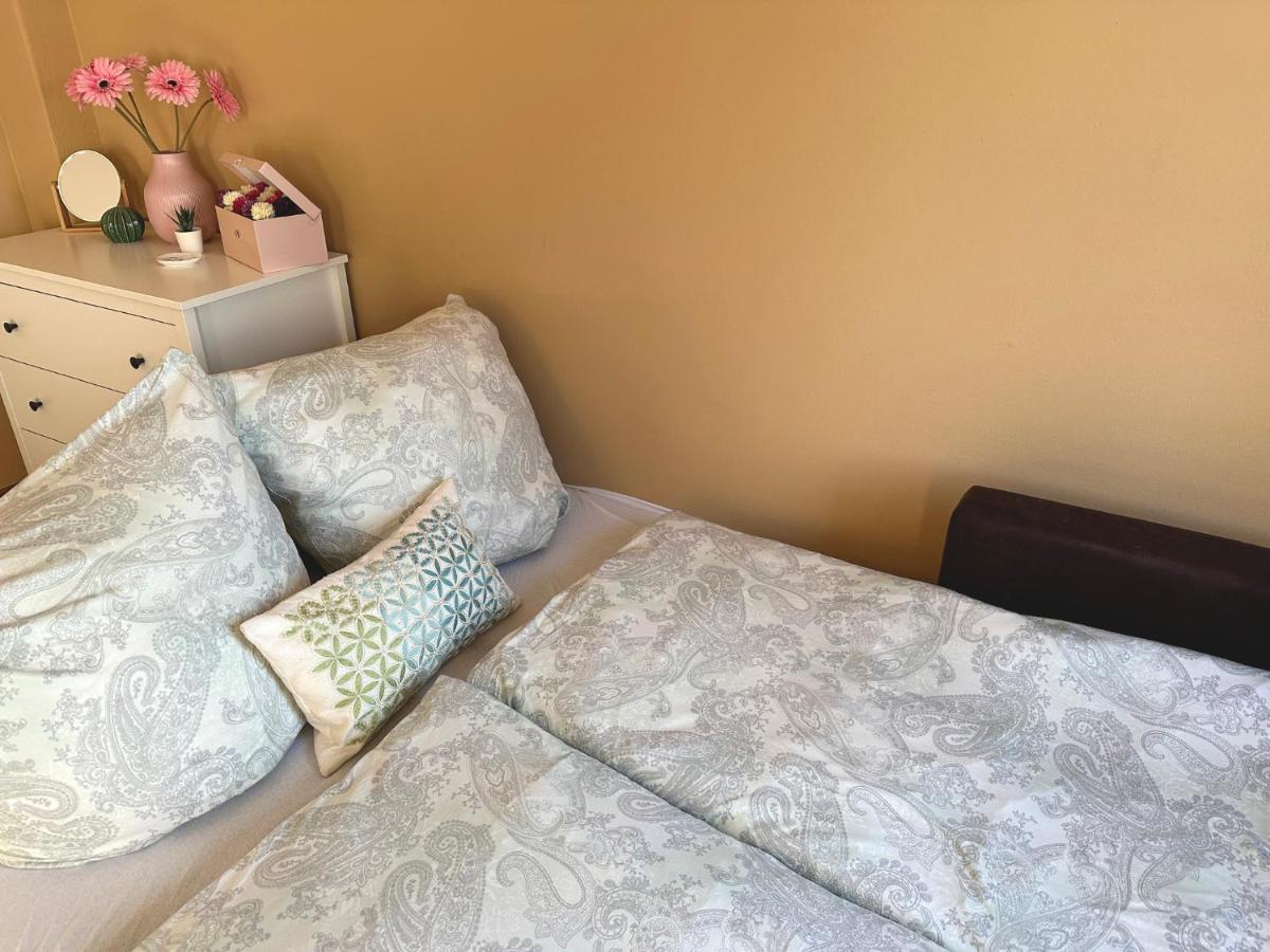 Apartement Am Schloss Pillnitz Dresden Ngoại thất bức ảnh
