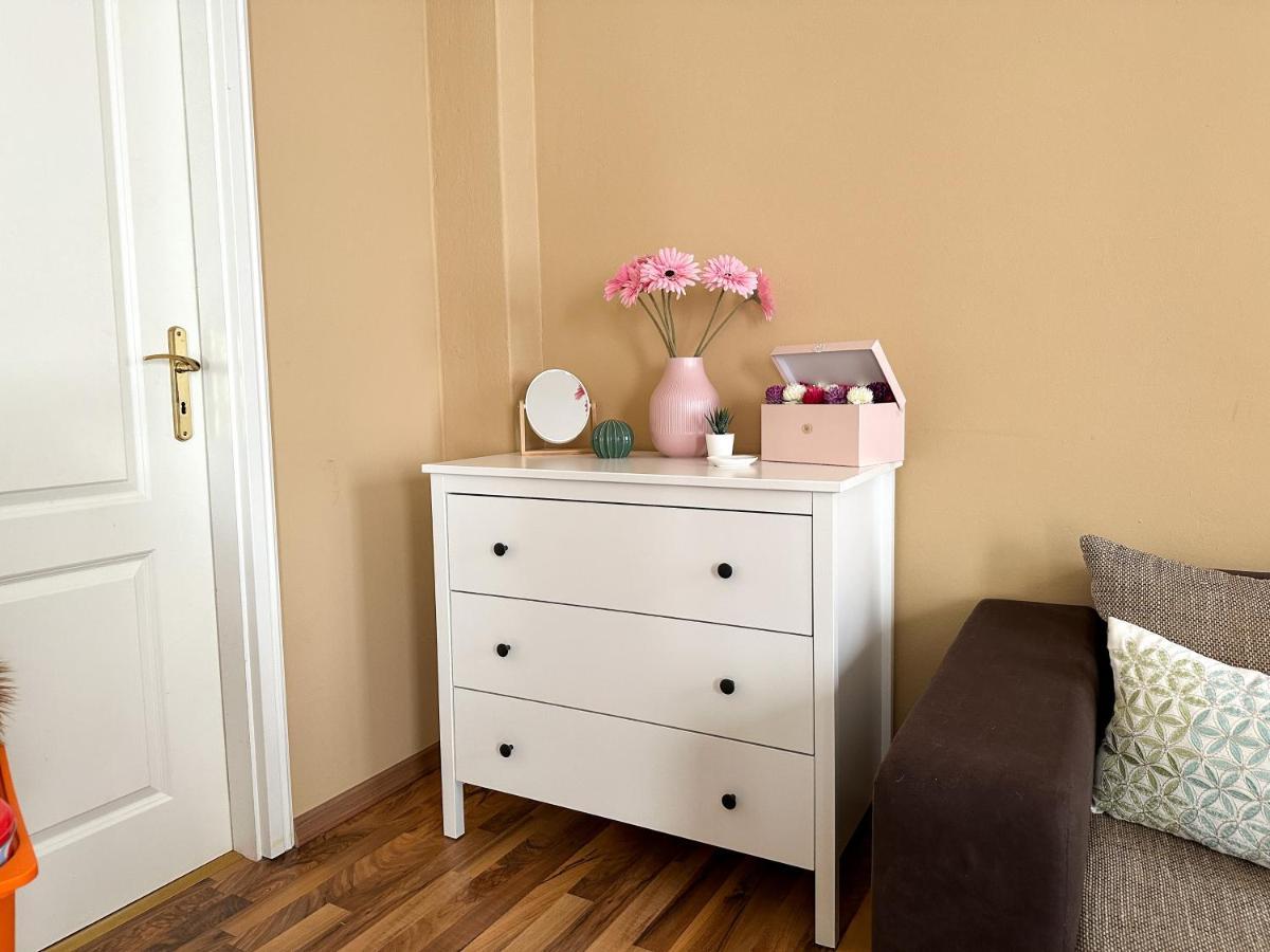 Apartement Am Schloss Pillnitz Dresden Ngoại thất bức ảnh